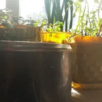 قابلمه تفلون کاملا نو