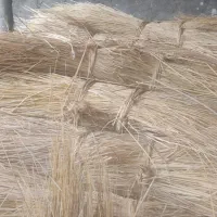 کاکولوش