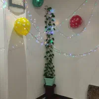 گل پتوس طبیعی