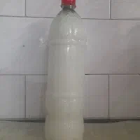 فروش دوغ قارچ کفیر
