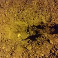 دریل تخریب|خدمات پیشه و مهارت|رامشیر, |دیوار