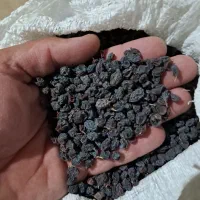 کشمش یاقوتی