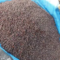 خرمای ناب جنوب (هشتبندی)