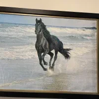 تابلو فرش اسب سیاه دونده درساحل بدون قاب یک در ۷۰|تابلو فرش|شهرکرد, |دیوار