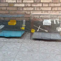قفس قناری