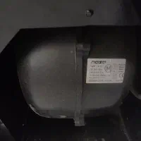 هود|هود|مشهد, کوی ولیعصر|دیوار