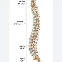 سلام راهنمای