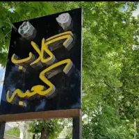 گلاب کعبه اصل قیمت داخل قمصر