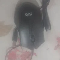 ماوس
