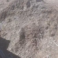 کود حیوانی گوسفندی