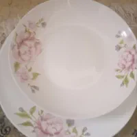ارکوپال ۱۲نفره ناقص
