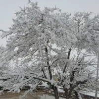 با بلو بانک بدون نیاز به ضامن وام بگیر