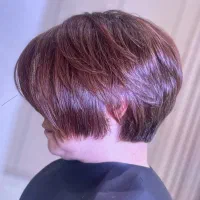کوتاهی مدل گرجوئیشی