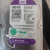 هارد500بنفش