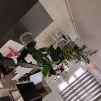 نیروی خدمات و تحصیلداری