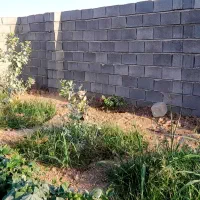 فروش باغچه ۵۵۰متری درورودی روستای عباس آباد دزفول