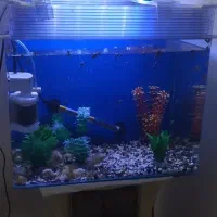 آکواریوم شرکتی شیشه خم