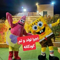 گروه تخصصی کشوری سورپرایز تولد مشهد مراسم و موزیک|خدمات پذیرایی، مراسم|مشهد, شهید هاشمی نژاد|دیوار