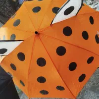چتر|کوهنوردی و کمپینگ|شهرکرد, |دیوار