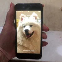 گوشی ایفون 8