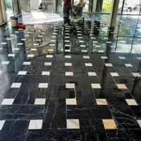 کفسابی نماشویی سابزن کف ساب سنگسابی سنگ سابی|خدمات نظافت|کرج, عظیمیه|دیوار