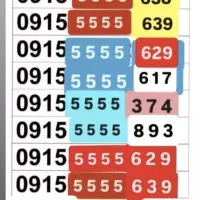 2 6 3 5 5 5 5 5 1 9 0