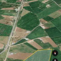 ۱۱۰۰۰متر زمین کشاورزی بین روستای ریخلان و کال صفلی|فروش دفتر صنعتی، کشاورزی، تجاری|مریوان, |دیوار