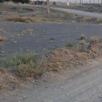 گاوترنا 500 متری 270 میلیون تومان