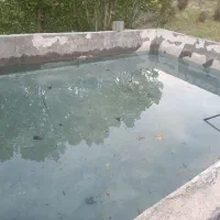 باغ ودیمه زار انگور