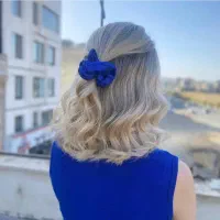 رنگ ولایت اقتصادی محمدیه مهرگان شریفیه بیدستان