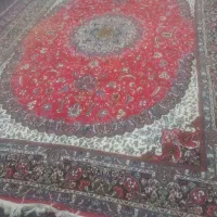 یک عدد فرش ۹ متری|فرش|سنندج, |دیوار