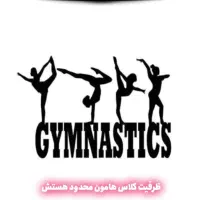 آموزش رشته ژیمناستیک