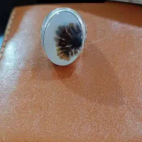 انگشتر شجر رکاب رضایی