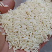 برنج هاشمی آستانه اشرفیه/خوش عطر و خوش پخت