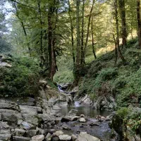 لنگرود  اطاقور سوئیت. حیاط دار ویو ابدی جای امن|اجارهٔ خانه و ویلا|لنگرود, |دیوار