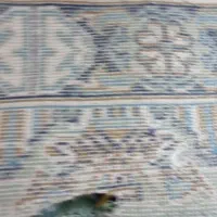 فرش|فرش|تایباد, |دیوار