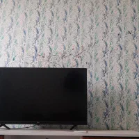 میز تی وی،دوچرخه ۲۴،تلوزیون ۳۲ جی پلاس