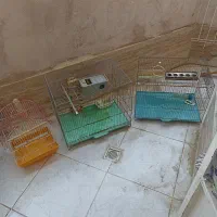 اشیا