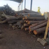 خرید و فروش چوب