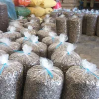 استخدام کارگر کارگاه خشکبار