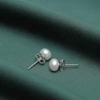 گوشواره میخی|بدلیجات|قم, باغ شریفی|دیوار