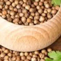 خریدار گشنیز