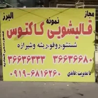 فلش و OTG گم شده (بنده در محل قالیشویی دارم)