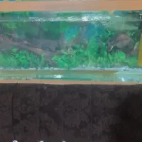 آکواریم خالی 6میل دست ساز سالام