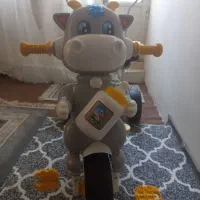 دوچرخه ماتادور دلیجان|کالسکه و لوازم جانبی|مشهد, رده|دیوار