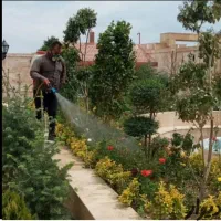 باغبانی و درختکاری