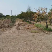 زمین مسکونی و باغ 1200 متری