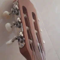 گیتار|گیتار، بیس، امپلیفایر|قم, باغ شریفی|دیوار