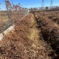 فروش باغ فوری