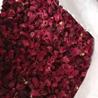 ختمی چایی ترش